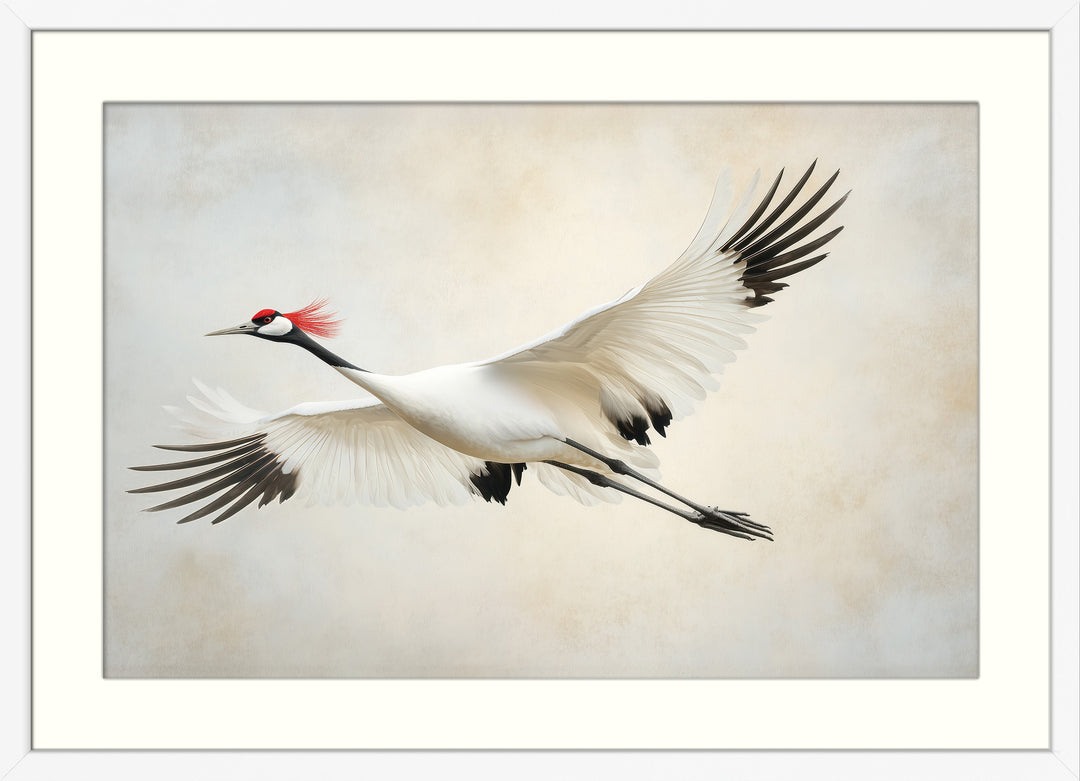 Red Crowned Crane Wall Art Print