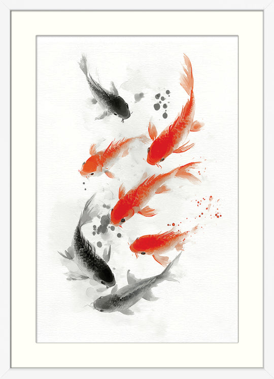 Koi Fish in Motion
