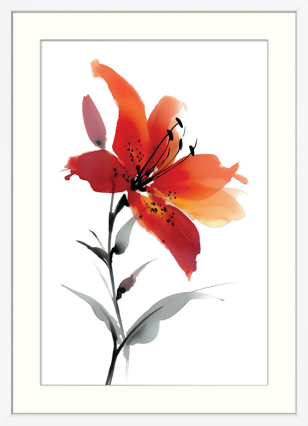 Red Lily